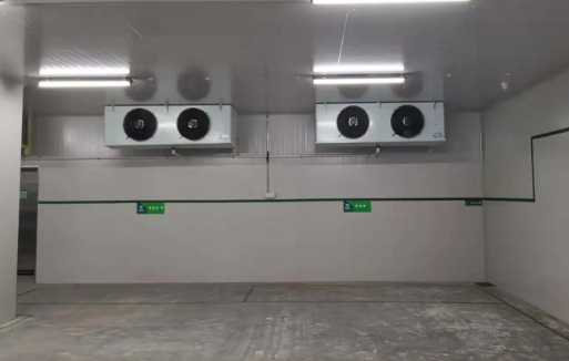 氨制冷冷庫(kù)建造
