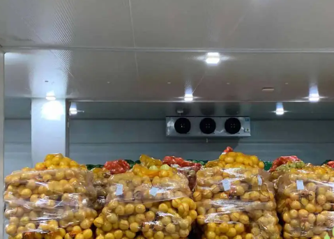 水果冷藏庫造價(jià)