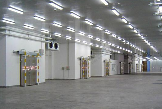 建造安裝一個低溫食品庫需要多少成本