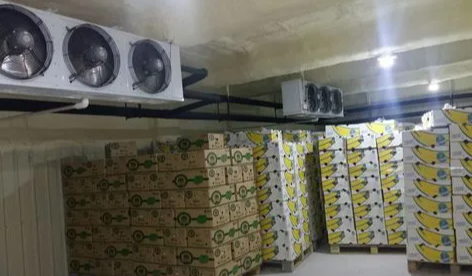 在廣州建造一個(gè)保鮮冷庫(kù)大概需要多少錢